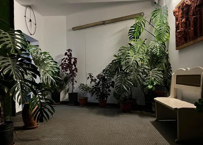 Family Adventure At Pazar * تيرانا